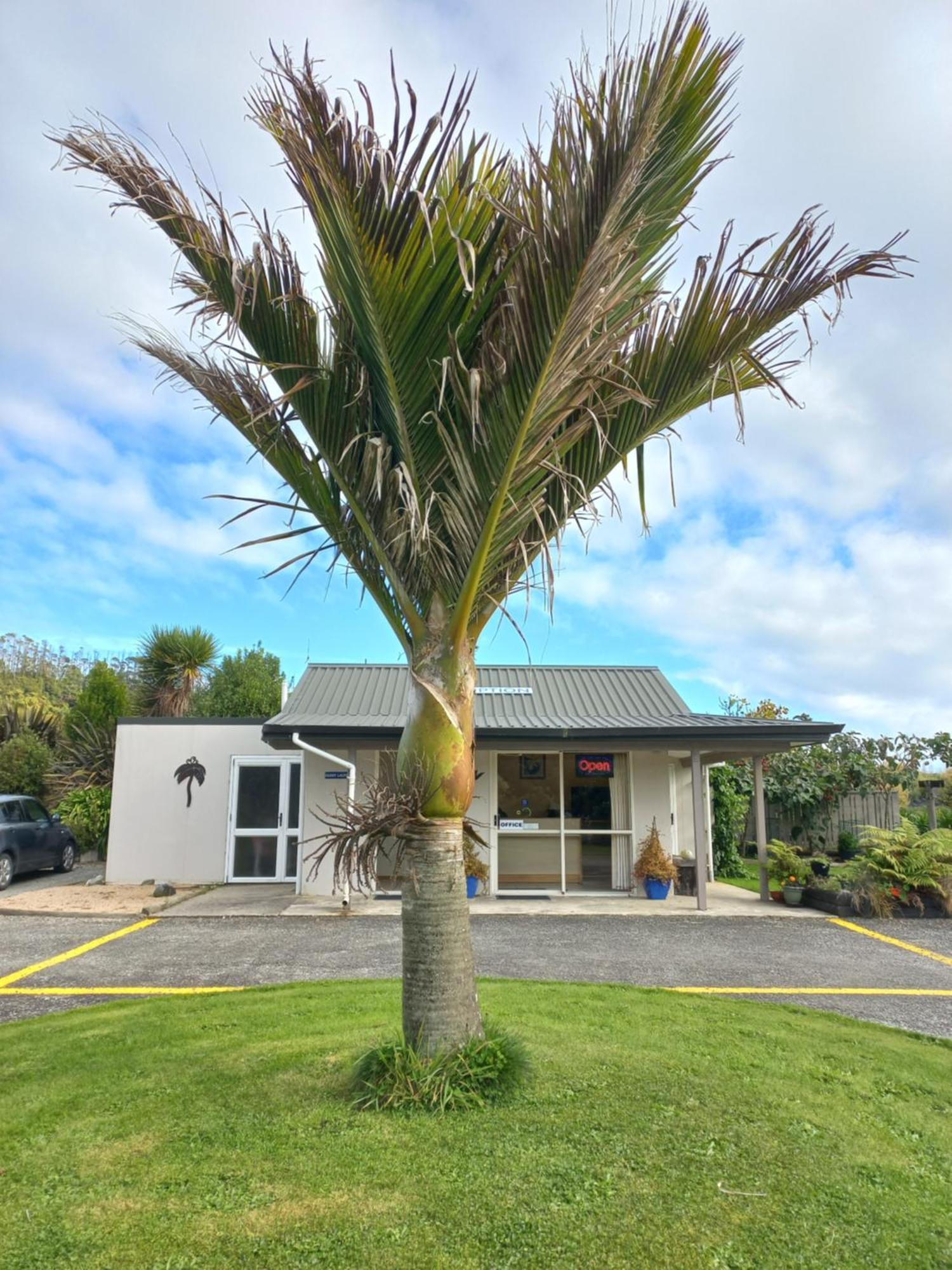 Karamea River Motels Exterior foto